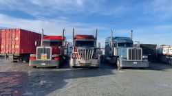 Truckers Rally — photo 16