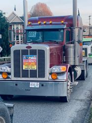 Truckers Rally — photo 52